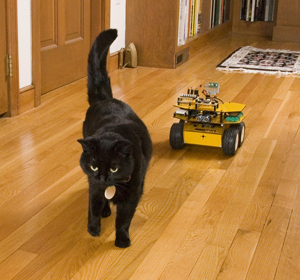 Mona and the Follow Me Rover